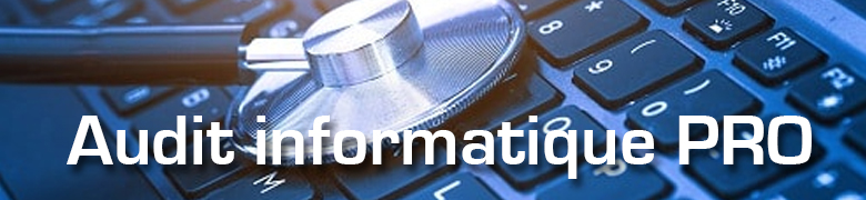 audit informatique pro